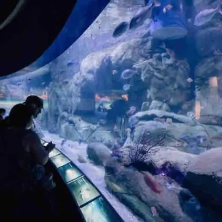Apto Ruzafa Patio Center Science Oceanografic * 瓦伦西亚
