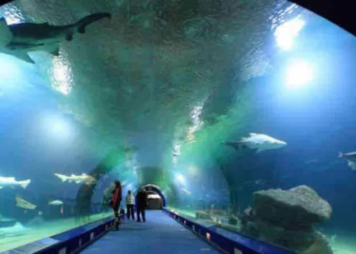Apto Ruzafa Patio Center Science Oceanografic